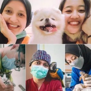 Dokter Hewan Bandung : Gambar dari Gloriavet Instagram