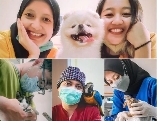 Dokter Hewan Bandung : Gambar dari Gloriavet Instagram