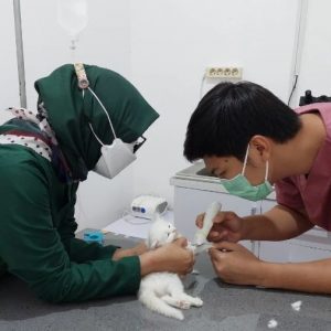 Dokter Hewan Palembang : Gambar dari Wonder Pet Palembang Google