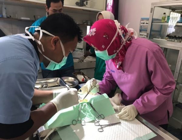 Dokter Hewan Pontianak : Gambar dari Huibert Medical Vet Pontianak Google