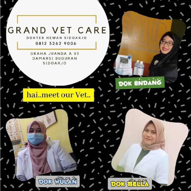 Grand Vet Care Dokter Hewan Sidoarjo : Gambar dari Grand Vet Care Instagram