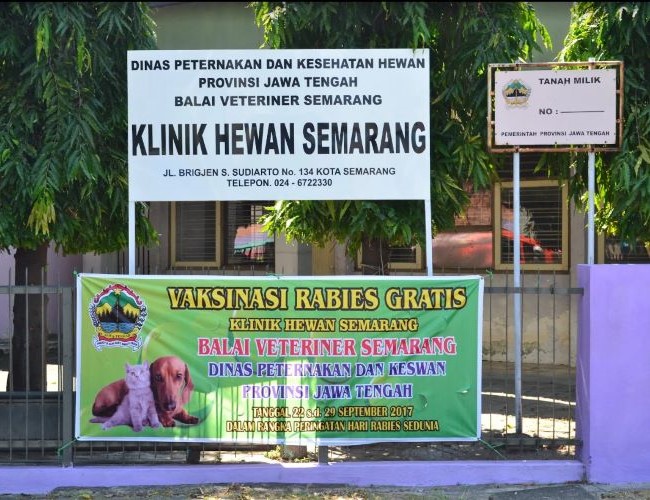 Klinik Hewan Pemerintah Kota Semarang Dokter Hewan Semarang : Gambar dari Google