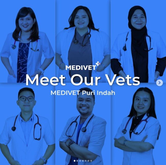 Medivet Dokter Hewan Jakarta Barat : Gambar dari Medivet Clinic Instagram