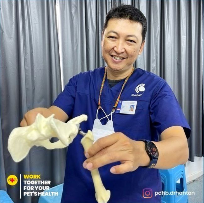 PDHB drh. Anton Susilo AP Dokter Hewan Bandung : Gambar dari pdhb.drhanton Instagram