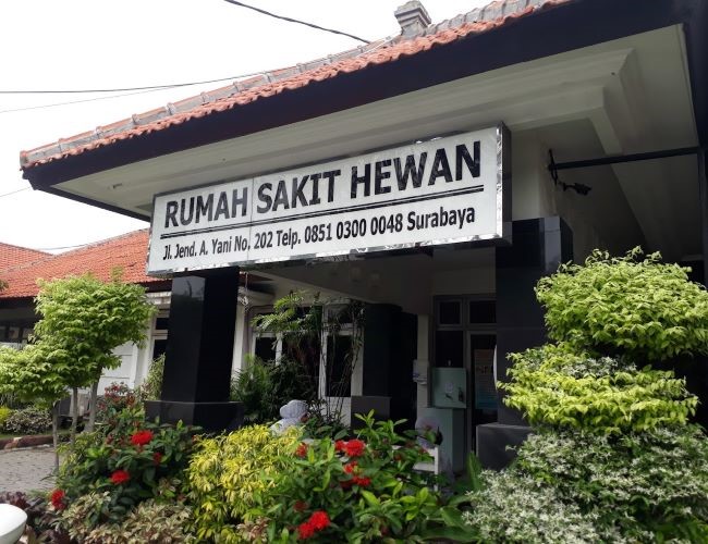 RS Hewan Disnak Provinsi Jawa Timur Dokter Hewan Surabaya : Gambar dari Google