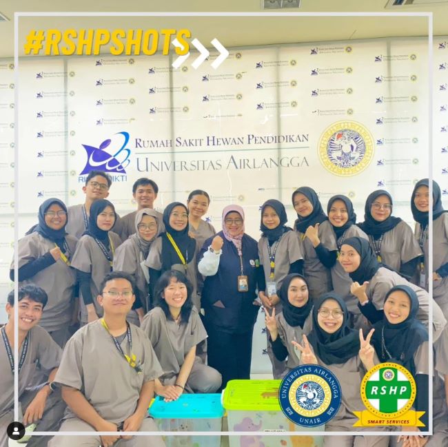 RS Hewan Pendidikan Universitas Airlangga Surabaya : Gambar dari RSHP Unair Instagram