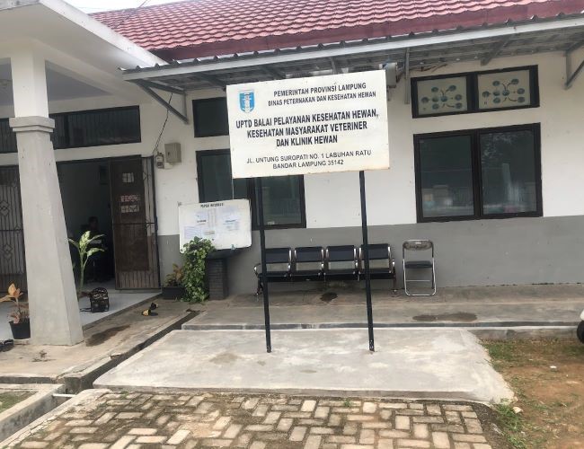 UPTD Balai Pelayaan Kesehatan Hewan Dokter Hewan Bandar Lampung : Gambar dari Google