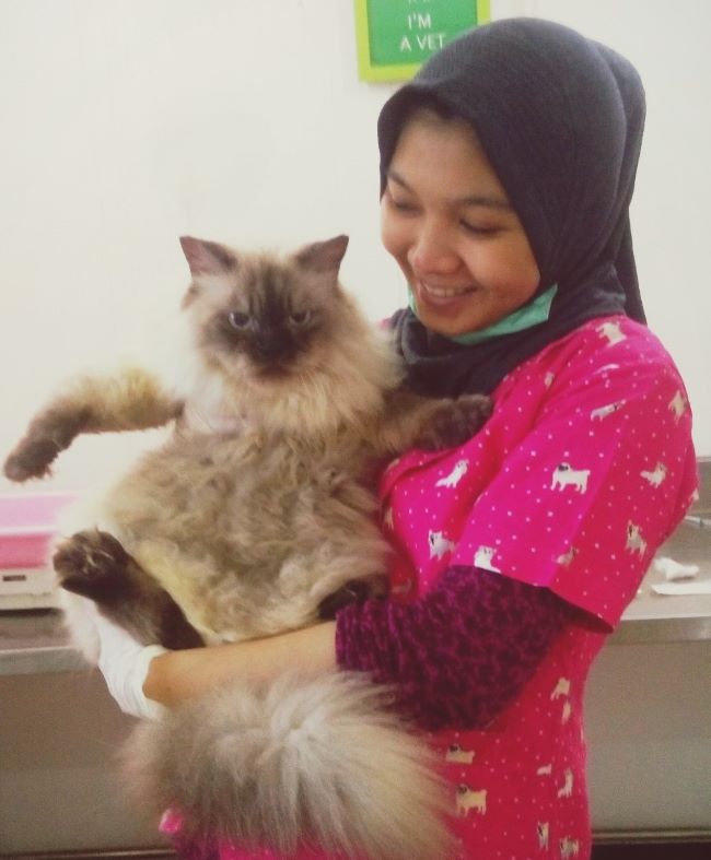 drh. Anastasia Narani Dokter Hewan Bogor : Gambar dari Myma Pet House Facebook