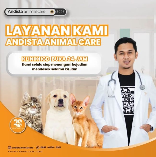 drh. Benny Andista Dokter Hewan Jakarta Barat : Gambar dari Andista Animal Care Instagram