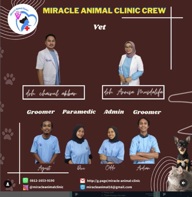 drh. Chairul Akbar and drh. Anissa Musdalifa Dokter Hewan Surabaya : Gambar dari Miracle Animal Clinic Instagram