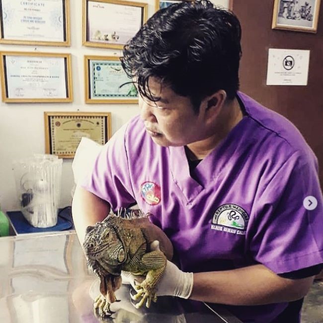 drh. Dandy Satria Dokter Hewan Jambi : Gambar dari Kumi Pet Store and Care Instagram