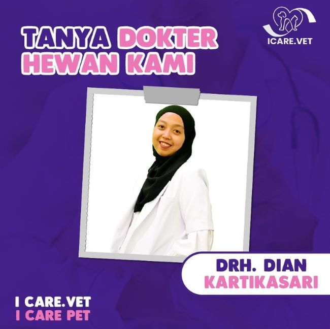 drh. Dian Kartikasari Dokter Hewan Bandung : Gambar dari I Care.Vet Instagram