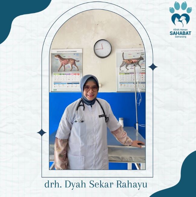 drh. Diyah Sekar Rahayu Dokter Hewan Semarang : Gambar dari Sahabat Semarang Instagram