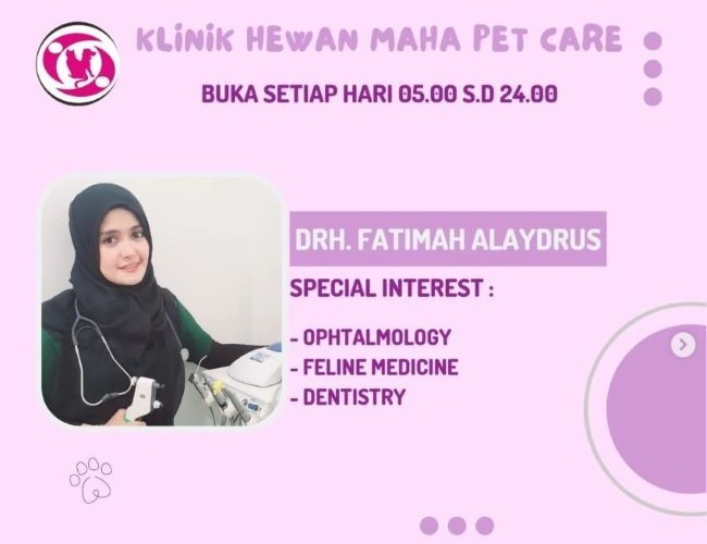 drh. Fatimah Alaydrus Dokter Hewan Bandung : Gambar dari Maha Pet Care Instagram