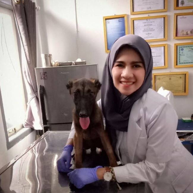 drh. Fitri Patmawati Dokter Hewan Jambi : Gambar dari Kumi Pet Store and Care Instagram