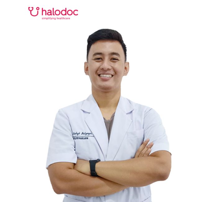 drh. Habyb Palyoga Dokter Hewan Pekanbaru : Gambar dari halodoc