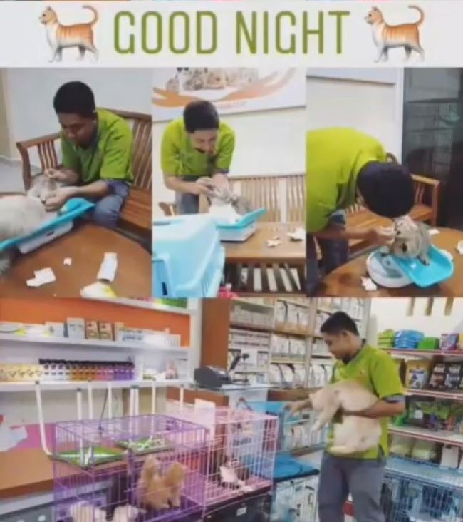 drh. Ilham Deskarifal Fitrah Dokter Hewan Pekanbaru : Gambar dari Animalia Vet Clinic Instagram