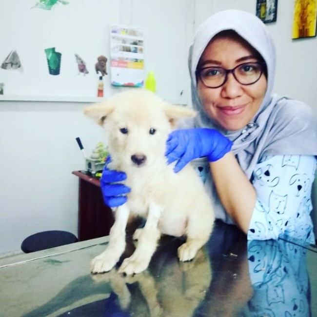 drh. Rospita Pane, M.E Dokter Hewan Jambi : Gambar dari Kumi Pet Store and Care Instagram