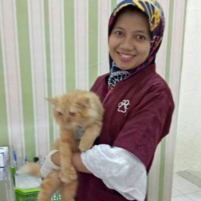 drh. Siwi Dokter Hewan Palembang : Gambar dari Facebook