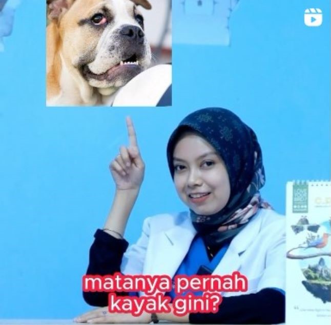 drh. Titi Novianti Dokter Hewan Jakarta Barat : Gambar dari Bless Vet Clinic