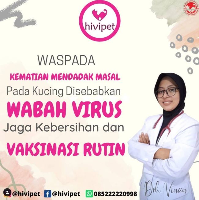 drh. Widhi Vinandhita Dokter Hewan Cirebon : Gambar dari Hivipet Instagram