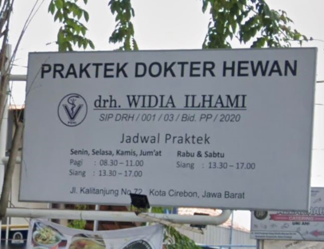 drh. Widia Ilhami Dokter Hewan Cirebon : Gambar dari Google